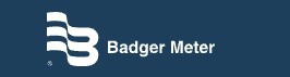 Đại lý Badgermeter Việt Nam