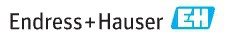 Đại lý Endress Hauser Việt Nam