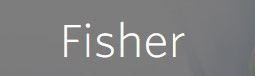 Đại lý Fisher Việt Nam