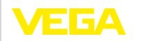 Đại lý Vega Việt Nam